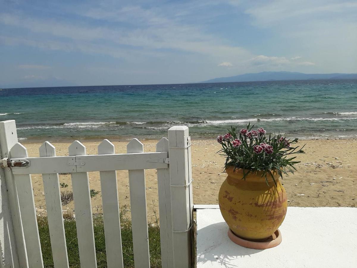 House Kokkalas On The Beach Pyrgadikia Exterior photo